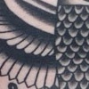 haurus