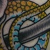 snake