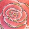 rose and banners