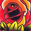 rose