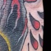 eyeball 