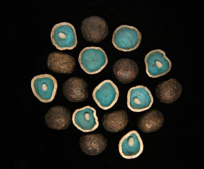 Manufactured Cells