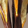 Burning Bush