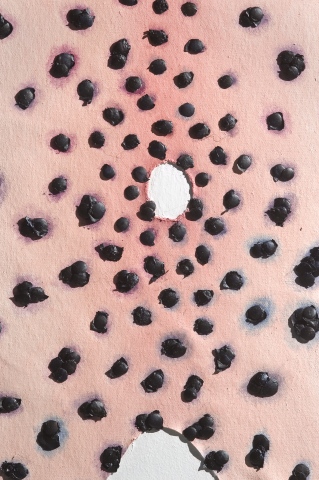 Ass Hole (Detail)