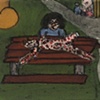 Jellystone Park 