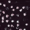 Dark Side (Detail)
