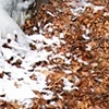 thaw 