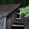 the barn