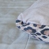 sleepy dog