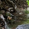 cooling off