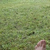 summer sun