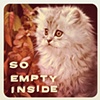 So empty inside