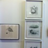Arcadia Boutique Printed Page Exhibition