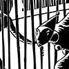 The Cell 2