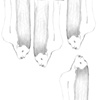 Air