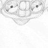 Doodle of The Brain