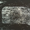 "Sunken Whale"
