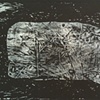 "Sunken Whale"