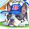 Safe at Home