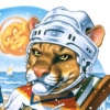 Florida Panther (Ice Hockey under the Sun?)