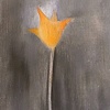 Moon Flower - from Tribute Series