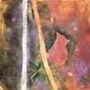 Cardinal Spirit - Triptych