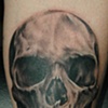 Skull