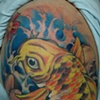 Koi