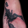 Scorpion