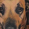 Dogs