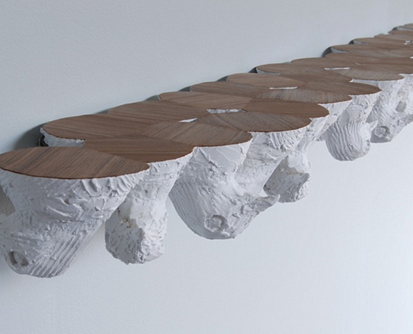 shelf (d)