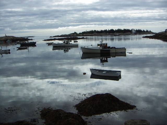 Rare Stillness 