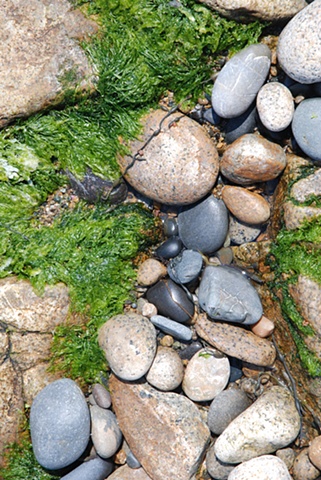 Old Cove