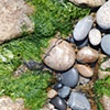 Old Cove