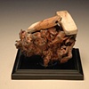 Specimen #9