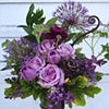 Roses, Agapanthus