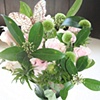Roses and Gerbera with Butterflies