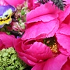 Close Up