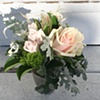 Small  Roses and Tulips