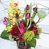 Dahlias