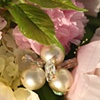 Pearls and Swarvski