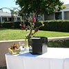 Gift Table