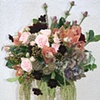 Garden Roses