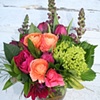 Ranaculus