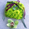 Ring Bearers Pillow