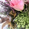 Feathers