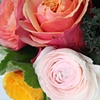 Close Up Bridesmaids Bouquet