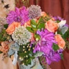 Dahlias