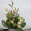 Buffet Table