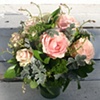 Roses in Tin